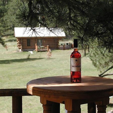 Renegade Log Cabin カスター エクステリア 写真