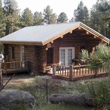 Renegade Log Cabin カスター エクステリア 写真